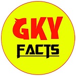 GKY VIP Injector icon